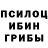 Псилоцибиновые грибы GOLDEN TEACHER lora layt