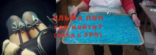 стаф Зерноград
