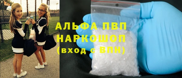 стаф Зерноград