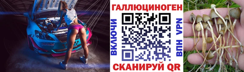 Купить закладки  Горбатов  Псилоцибиновые грибы MAGIC MUSHROOMS 