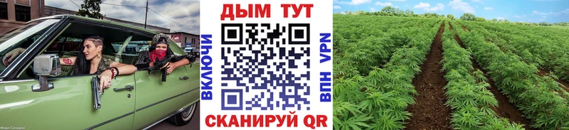 Купить закладки  Горбатов  Бошки Шишки планчик 
